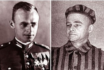 Tù nhân tình nguyện trại giam Auschwitz  của phát xít Đức (Phần 2)