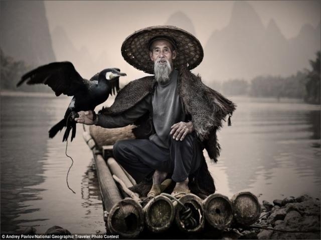 Độc đáo nghệ thuật câu cá trên sông ... bằng chim Độc đáo nghệ thuật câu cá trên sông bằng... chim cốc