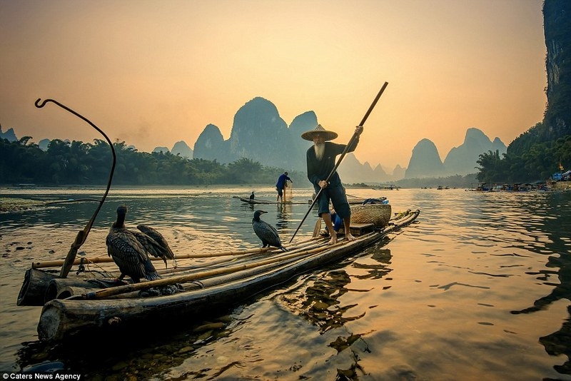 Độc đáo nghệ thuật câu cá trên sông ... bằng chim Độc đáo nghệ thuật câu cá trên sông bằng... chim cốc