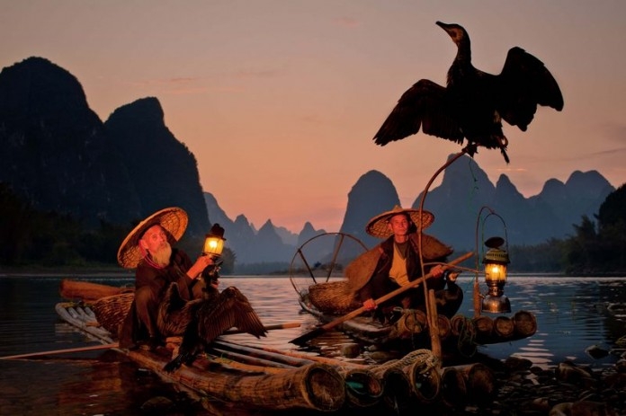 Độc đáo nghệ thuật câu cá trên sông ... bằng chim Độc đáo nghệ thuật câu cá trên sông bằng... chim cốc