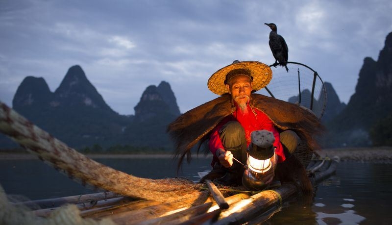 Độc đáo nghệ thuật câu cá trên sông ... bằng chim Độc đáo nghệ thuật câu cá trên sông bằng... chim cốc