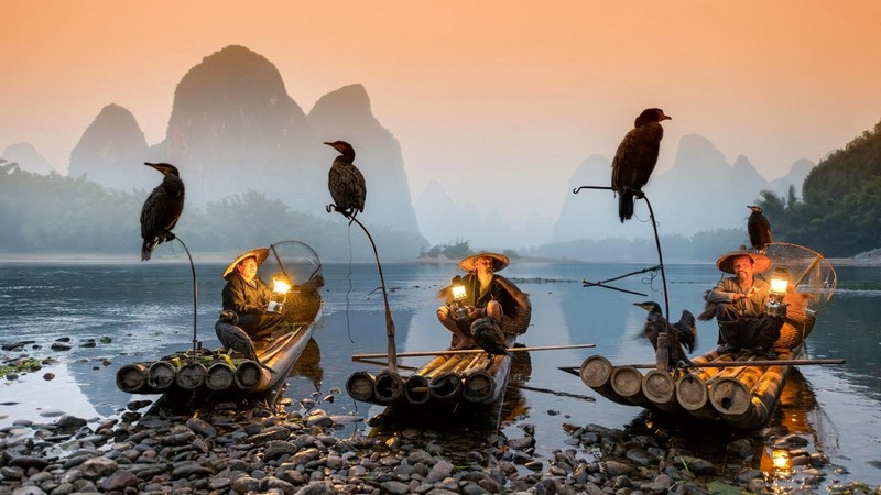 Độc đáo nghệ thuật câu cá trên sông ... bằng chim Độc đáo nghệ thuật câu cá trên sông bằng... chim cốc