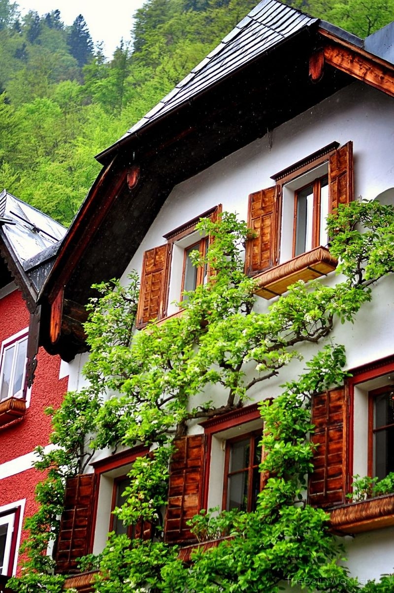 Thăm ngôi làng cổ Hallstatt – Di sản văn hóa 7000 năm của nước Áo Thăm ngôi làng cổ Hallstatt - Di sản văn hóa 7.000 năm của nước Áo