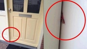 Cảnh báo: Hãy gọi cảnh sát ngay khi bạn nhìn thấy một mảnh bìa cứng ở giữa cửa! Cảnh báo: Hãy gọi cảnh sát ngay khi bạn nhìn thấy một mảnh bìa cứng ở giữa cửa!