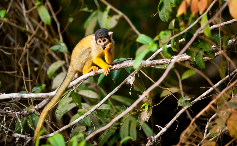 10 địa điểm du lịch nguy hiểm nhất thế giới