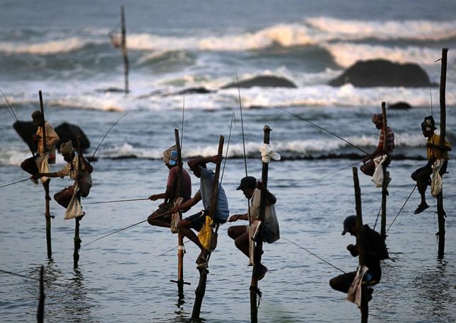 Nghệ thuật câu cá trên cà kheo của các ngư dân Sri Lanka
