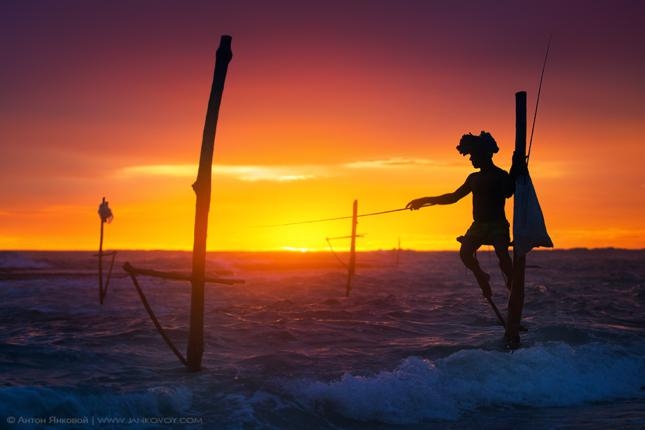 Nghệ thuật câu cá trên cà kheo của các ngư dân Sri Lanka