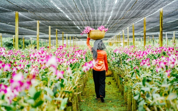 Những địa điểm tham quan hàng đầu Singapore