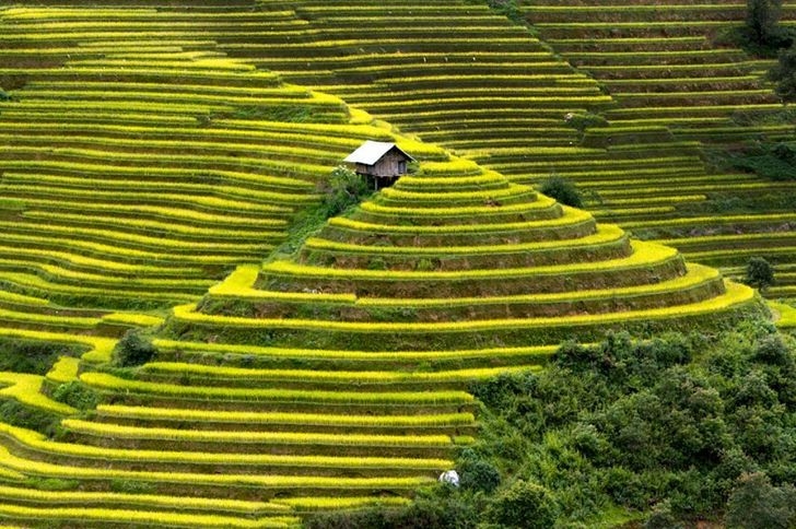 Đặt chân tới những ngôi nhà Đặt chân tới những ngôi nhà