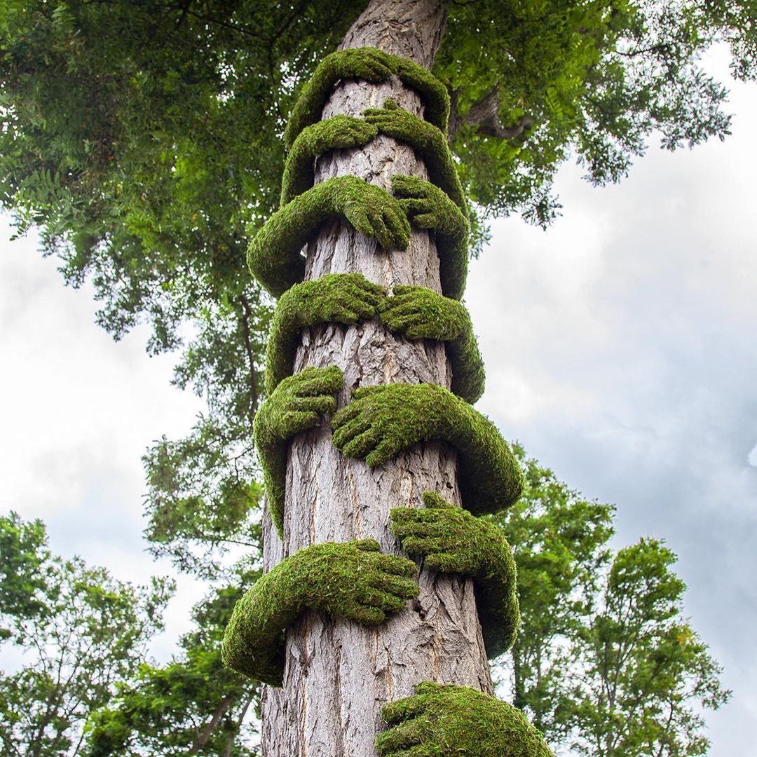 Mãn nhãn với 10 