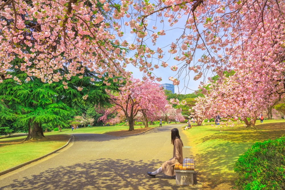 Ghé thăm những điểm đến nghệ thuật của Tokyo