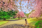 Ghé thăm những điểm đến nghệ thuật của Tokyo