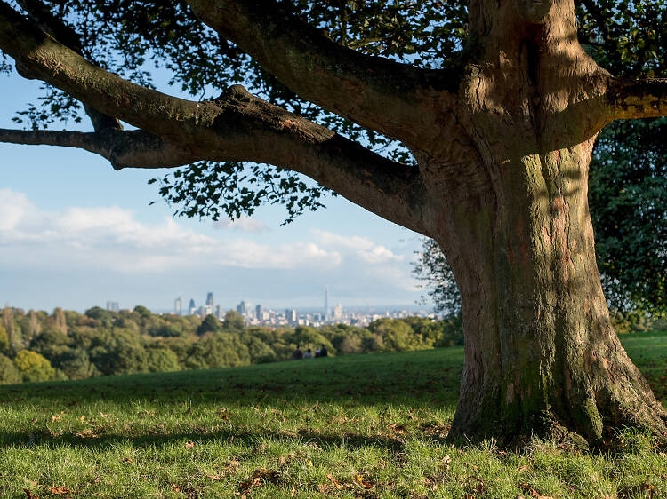 Những cung đường tản bộ đẹp nhất London