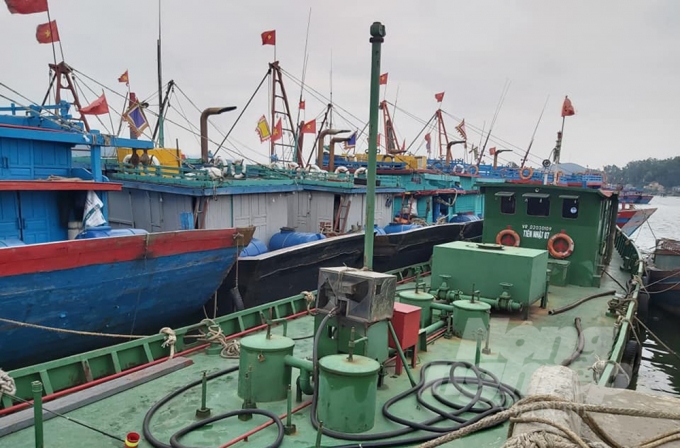 Lựa chọn đúng trọng tâm, nhập cuộc quyết liệt là mấu chốt của thành công. Ảnh: Việt Khánh.