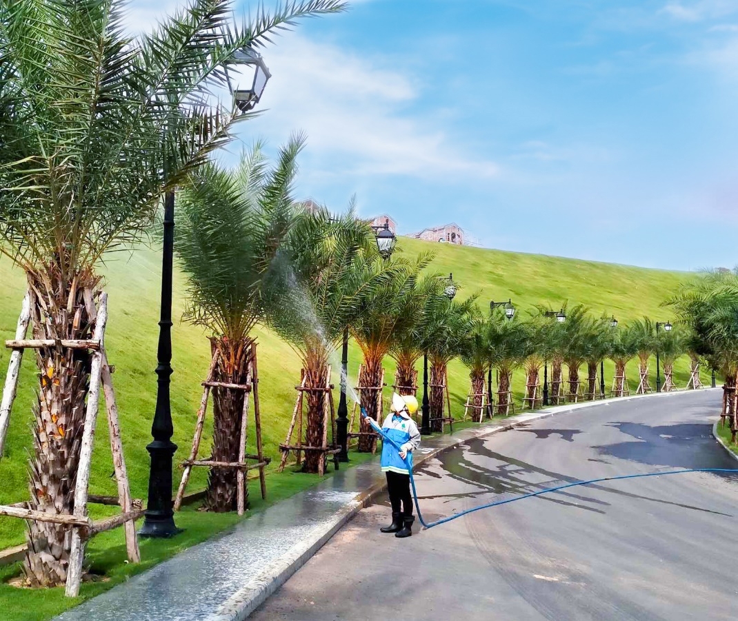 Lối dẫn vào sảnh đón khách với hàng cọ xanh tươi hai bên.