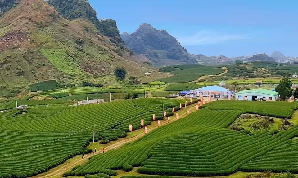 ve dep moc chau qua giai marathon duong mon viet nam 2019
