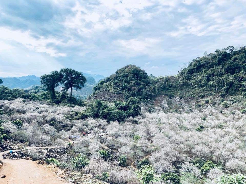 ve dep moc chau qua giai marathon duong mon viet nam 2019