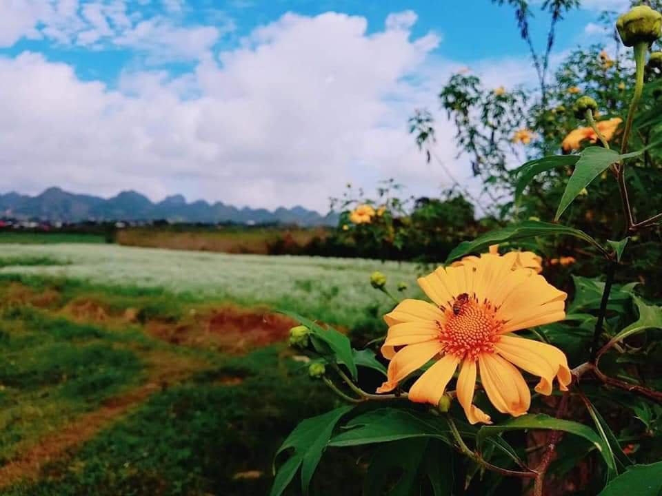 ve dep moc chau qua giai marathon duong mon viet nam 2019