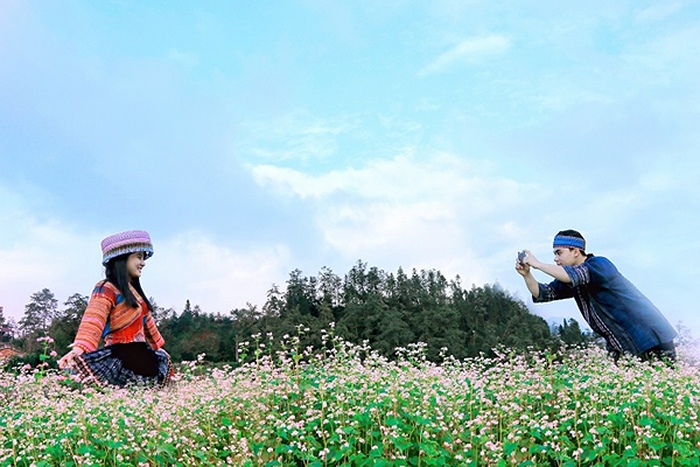 Xứ Thanh, hoa tam giác mạch hút hồn du khách hoa tam giac mach hut hon du khach