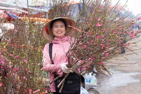 Hoa đào khoe sắc đón Tết cổ truyền hoa dao khoe sac don tet co truyen