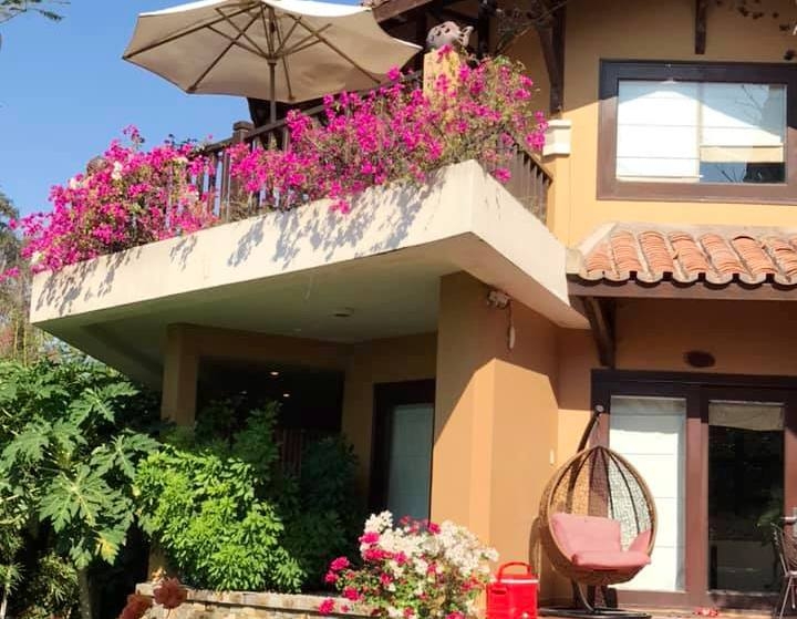 Đến Phan Thiết đừng quên ghé resort hoa giấy den phan thiet nho ghe resort hoa giay