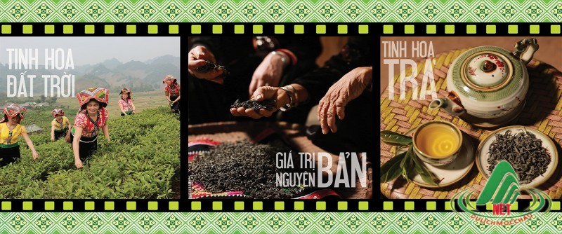 ĐIỂM THƯỞNG TRÀ TÂN LẬP TEA - nơi bạn biết hết về nghề thuật trà