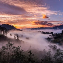 bua com chuan vi tet danh cho pham nhan