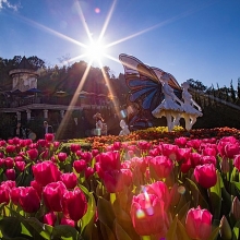sun world ba na hills mot thap ky chinh phuc va vuon tam the gioi