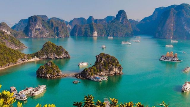 bao anh dua ra ca chuc ly do khuyen du khach nen toi viet nam