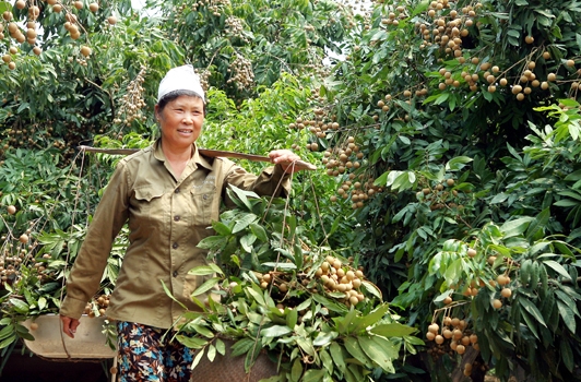 Khám phá Khu di tích Quốc gia đặc biệt Phố Hiến kham pha khu di tich quoc gia dac biet pho hien