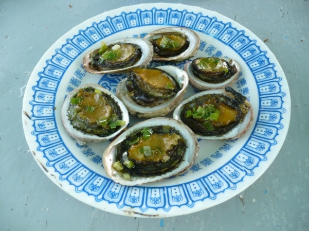 mot cuoc hanh trinh cham khe trai tim