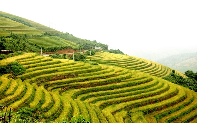 Top 5 ngọn núi Việt Nam mà du khách nước ngoài không thể bỏ qua Top 5 ngọn núi Việt Nam mà du khách nước ngoài không thể bỏ qua