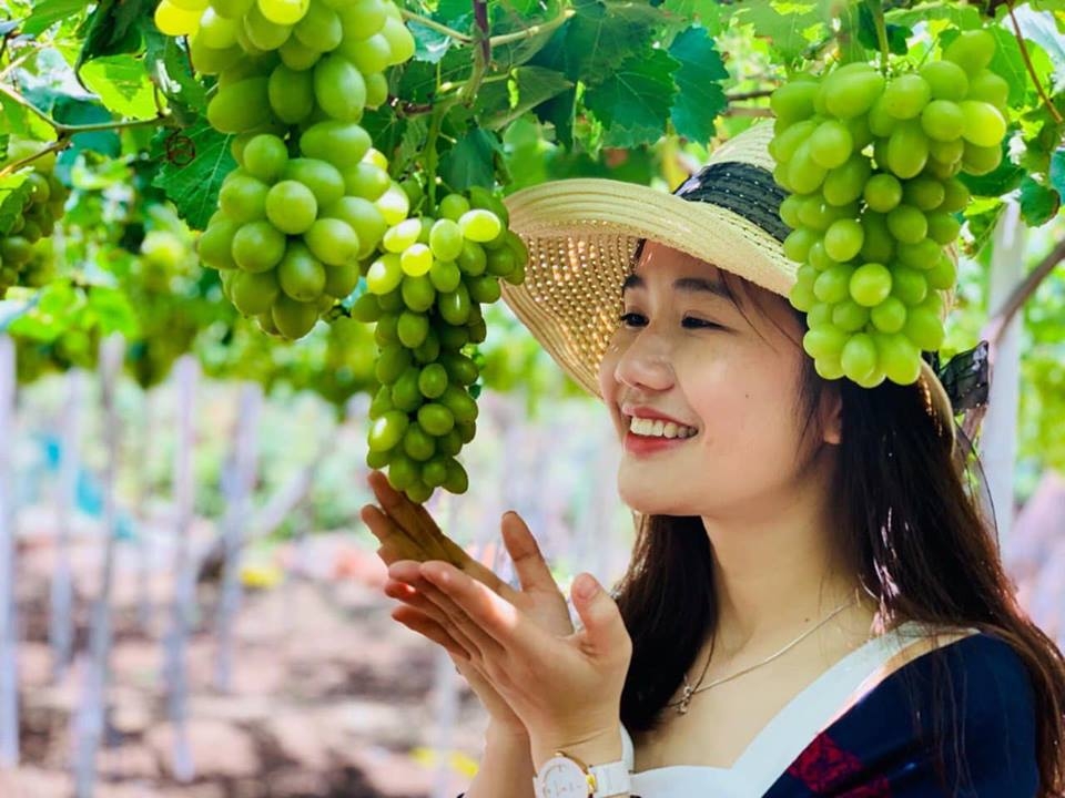 ninh thuan tron bo kinh nghiem du lich ninh thuan