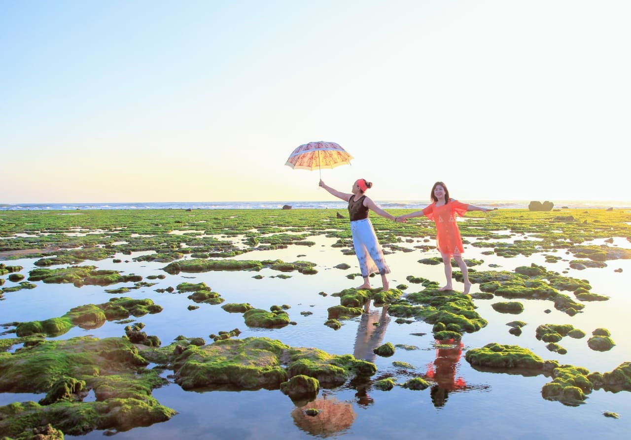 Chết ngất với cánh đồng rong biển Ninh Thuận Chết ngất với cánh đồng rong biển Ninh Thuận