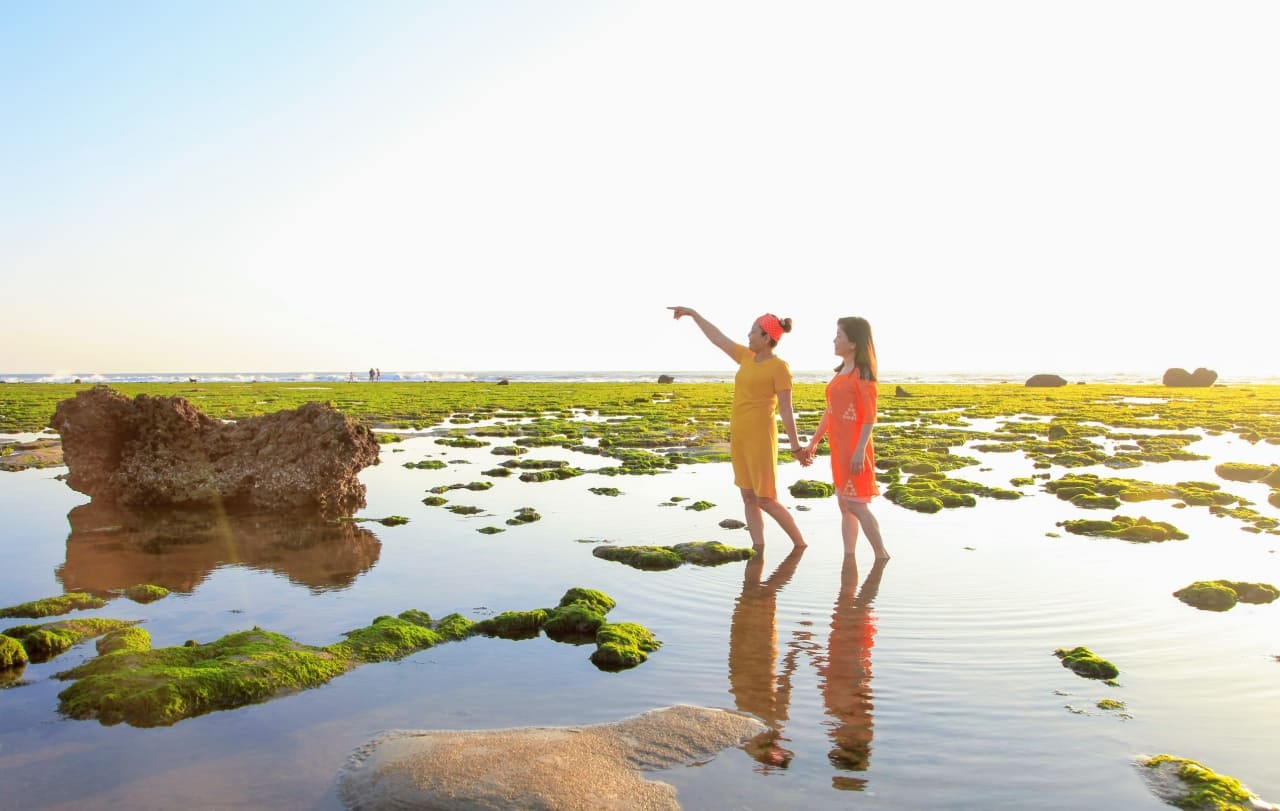 Chết ngất với cánh đồng rong biển Ninh Thuận Chết ngất với cánh đồng rong biển Ninh Thuận