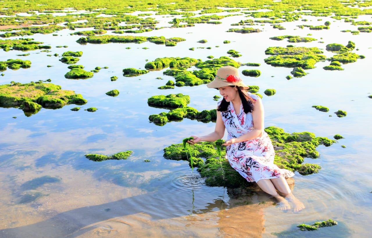 Chết ngất với cánh đồng rong biển Ninh Thuận Chết ngất với cánh đồng rong biển Ninh Thuận