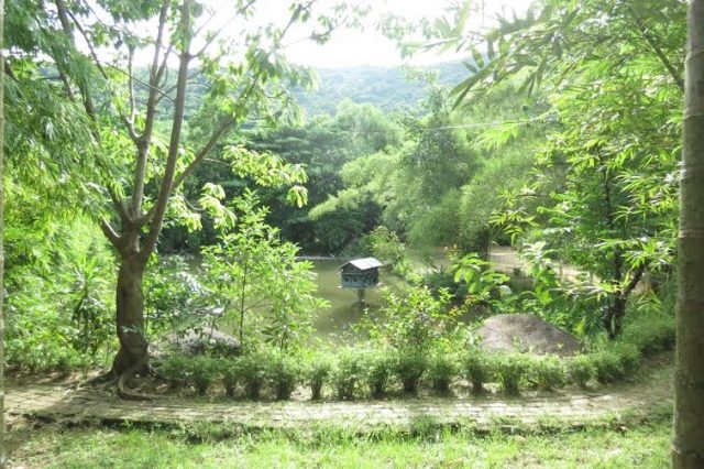 dam minh trong vuon tre son tra tinh vien