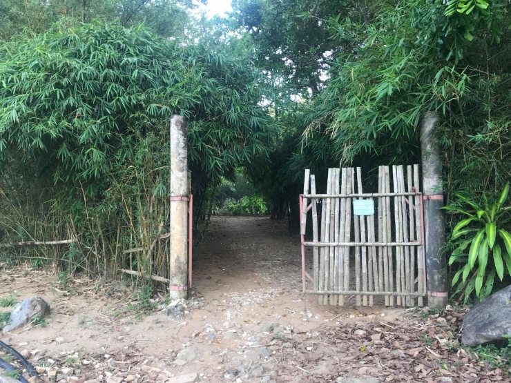 dam minh trong vuon tre son tra tinh vien