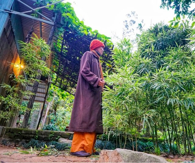 dam minh trong vuon tre son tra tinh vien