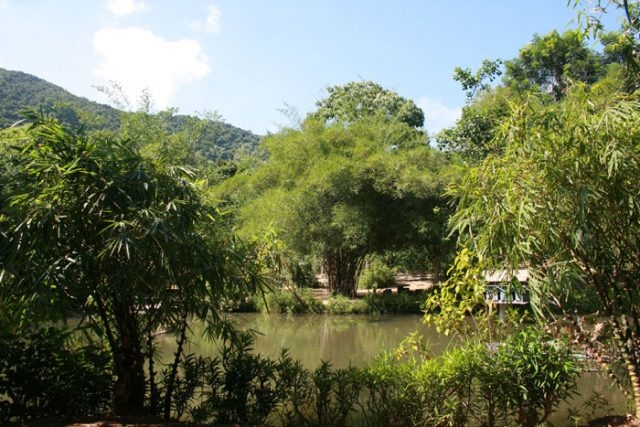 dam minh trong vuon tre son tra tinh vien