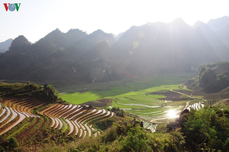 Khám phá vẻ đẹp kỳ thú của cao nguyên đá Tủa Chùa, Điện Biên kham pha ve dep ky thu cua cao nguyen da tua chua dien bien
