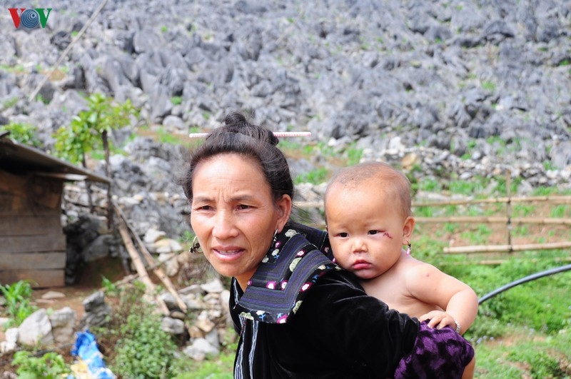 Khám phá vẻ đẹp kỳ thú của cao nguyên đá Tủa Chùa, Điện Biên kham pha ve dep ky thu cua cao nguyen da tua chua dien bien