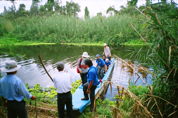 Danh thắng U Minh Thượng – Vẻ đẹp hoang sơ mang ký ức hào hùng Danh thắng U Minh Thượng – Vẻ đẹp hoang sơ mang ký ức hào hùng