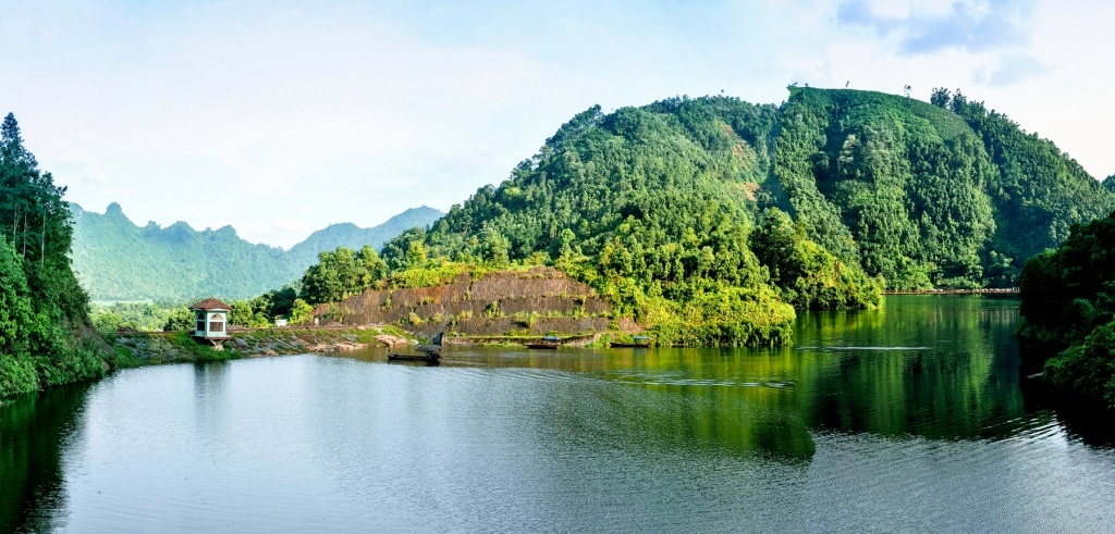 Hồ Ly 