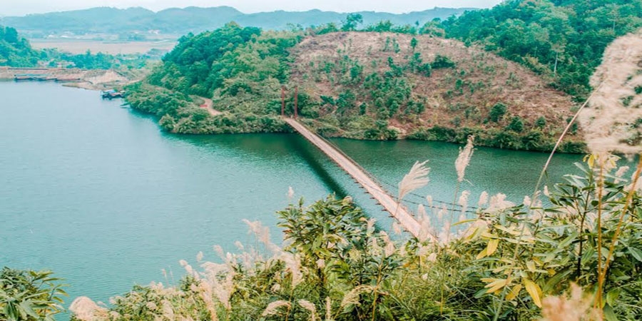 Hồ Ly 