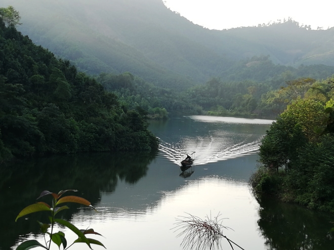 Hồ Ly 
