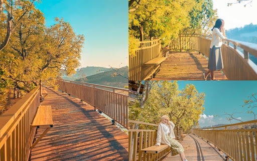 da lat dep lim tim voi con duong han quoc