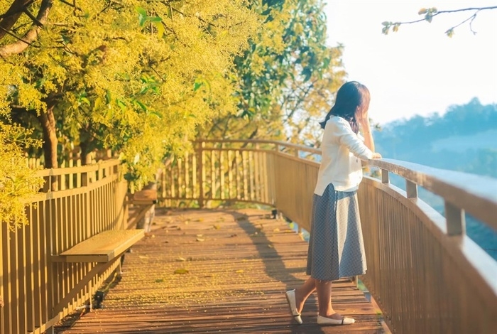 da lat dep lim tim voi con duong han quoc