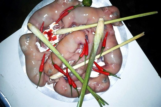 3 món ăn yêu thích của người Việt Nam nằm trong top 10 món ăn kinh dị trên thế giới