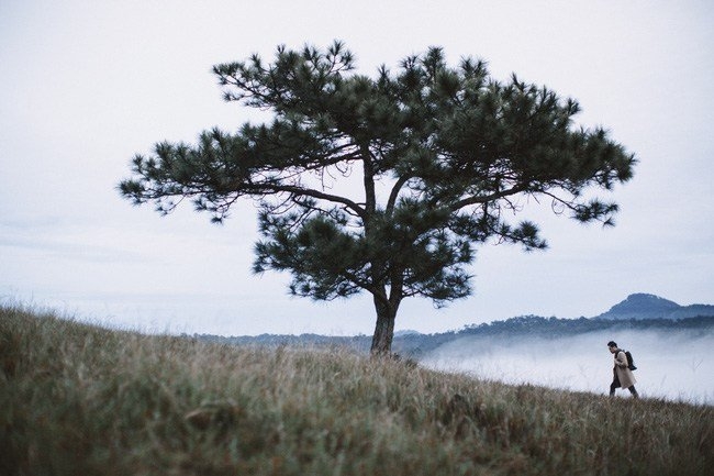 Việt Nam đẹp qua các MV ca nhạc